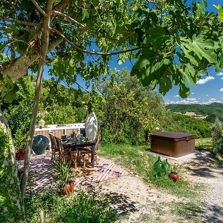 Nido Visone Apartament